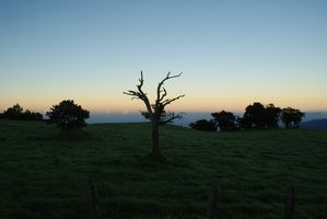 DSC08478