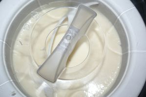 glaces fraises, bananes et salade 012