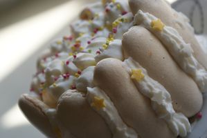 vacherin citron et fruits rouges 2