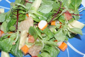 SALADE ET POULET 016