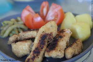 nuggets 019