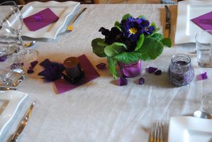 table violet anniv Nanou, anniv Shelley 02.2011 011