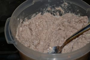 rillette-thon--kiri.JPG