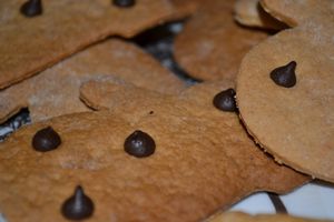 biscuit-3.JPG