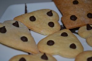 biscuit-5.JPG