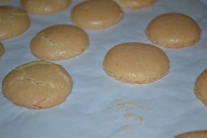 macarons-nutella.JPG