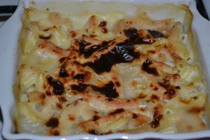 gratin pâte béchamel dinde