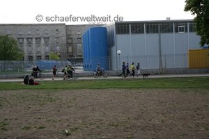 Allgemeines-5255.JPG