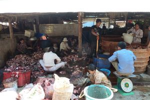 Battanbang poisson pour le Amok (avec asticots) (6)
