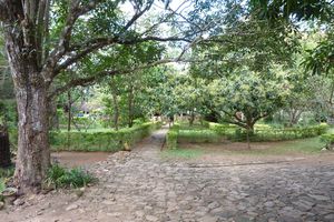 centre de méditation Nilambé (proche de Kandy) (41)