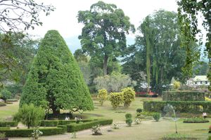 Kandy jardin botanique (61)
