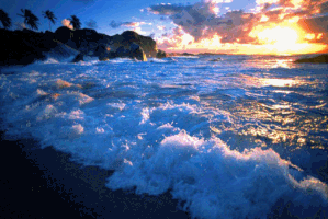 MARE-BLU----.X----.gif