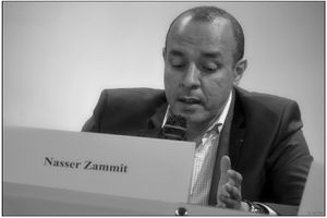 NASSER-ZAMMIT-P1.jpg