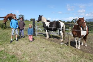 Carrowmore (37)