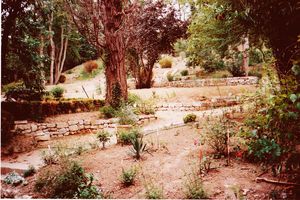 jardin-plantation-retouche-1.jpg