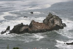 cote pacifique patrick point 0622