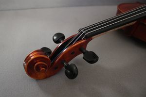 IMG 4977