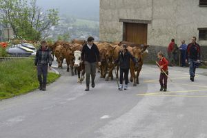 transhumance_01_juin_14.jpg