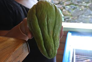 La-Reunion 2148