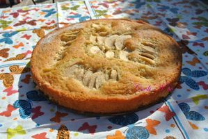 Moelleux aux pommes