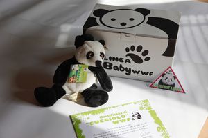 panda-cofanetto-copia-1.jpg