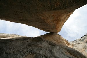 pestel-049.JPG