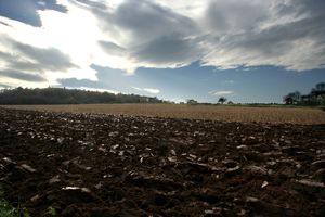 terre-labouree.jpg