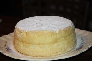 gateau-cocotte 8471