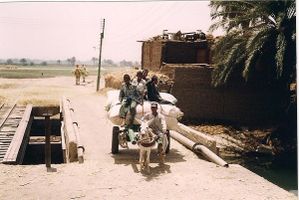 depart-aux-champs.jpg-zim.jpg