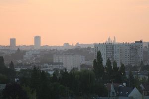 IMG_5788.jpg