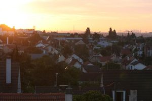 IMG_5791.jpg