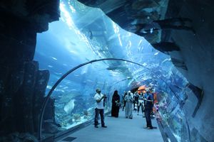 Tunnel-aquarium-Dubai.JPG