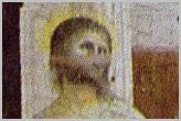 detail-flagelle.JPG