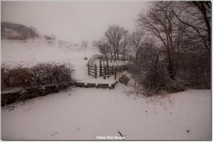 IMG_2146-copie-3.jpg