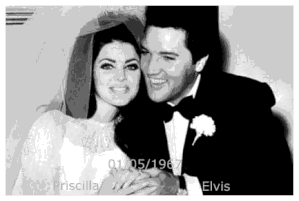 cillaelvis