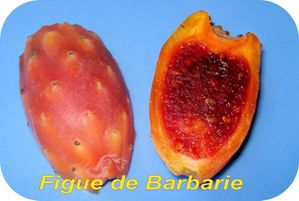 Figue Barbarie en Coupe t 800