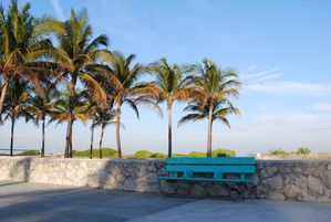 Floride-2010 0049