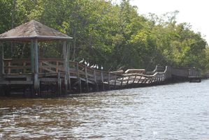 Floride-2010 0477