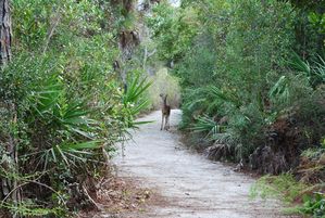 Floride-2010 0514