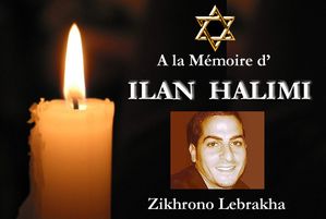 ilan.jpg