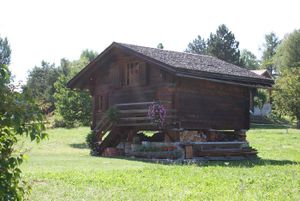 DSC05008.jpg