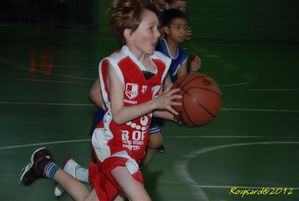 basket 074