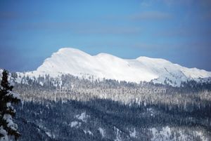 20100219 paysages d'hiver