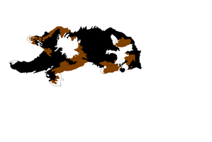 dodo-dessin.PNG