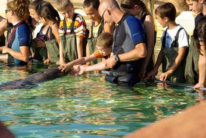 marineland antibes rencontre avec les requins