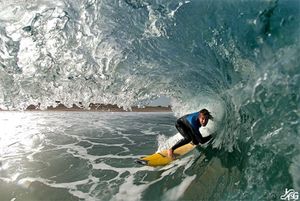 surf.jpg