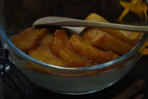 Pannancotta pommes cannelle 4