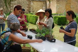 troc-plantes.jpg