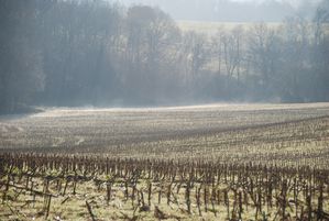 automne-2012-0227.JPG