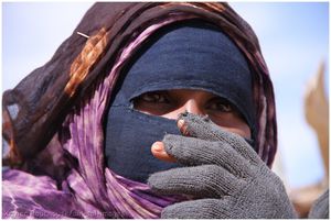 Mauritanie humanitaire 2013 (29)